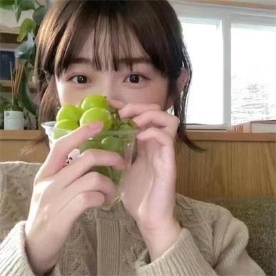 童军 封面